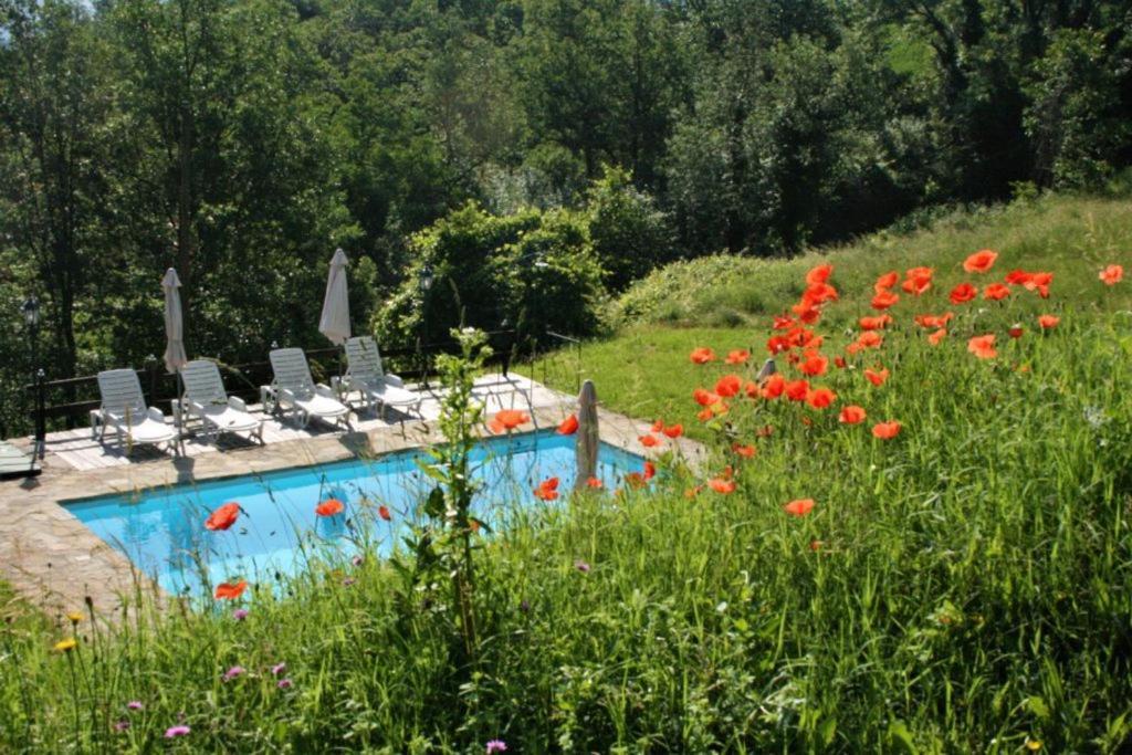 Casa Domenica - Home&More Monastero Bormida Zewnętrze zdjęcie